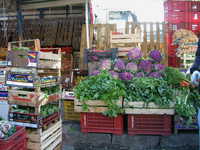 Purple cauliflower in Acireale.JPG